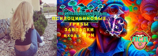 соль ск Абаза