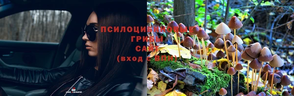соль ск Абаза