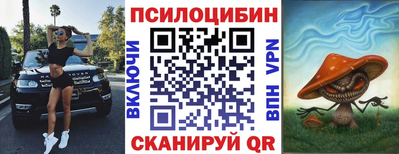 магазин продажи   Вытегра  Галлюциногенные грибы Psilocybe 